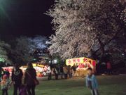 ファイル 2515-1.jpg