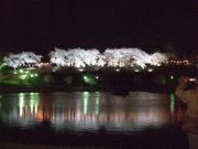 ファイル 2515-3.jpg