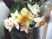 ファイル 2516-1.jpg