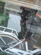 ファイル 2518-1.jpg