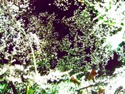 ファイル 2520-4.jpg