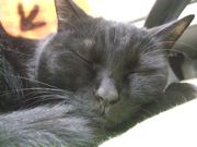 ファイル 2521-1.jpg