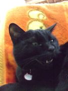 ファイル 2525-1.jpg