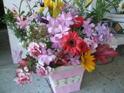 ファイル 2551-1.jpg