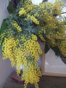 ファイル 2552-2.jpg