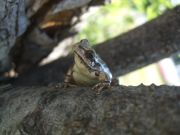 ファイル 2552-3.jpg