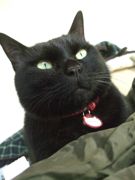 ファイル 2552-4.jpg