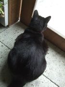 ファイル 2555-1.jpg