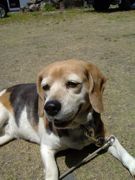 ファイル 2559-1.jpg