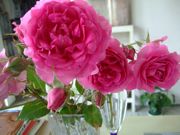 ファイル 2563-1.jpg