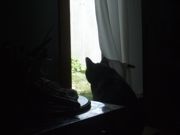 ファイル 2565-1.jpg