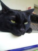 ファイル 2569-1.jpg