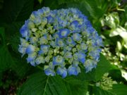 ファイル 2576-1.jpg