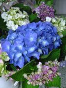 ファイル 2582-1.jpg