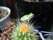 ファイル 2586-3.jpg