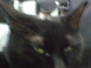 ファイル 2589-2.jpg