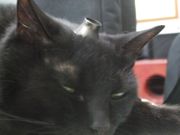 ファイル 2589-3.jpg