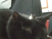 ファイル 2589-4.jpg