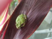 ファイル 2592-1.jpg