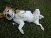 ファイル 2598-1.jpg