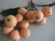 ファイル 2600-1.jpg