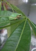 ファイル 2605-1.jpg