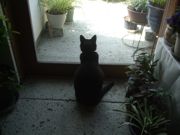 ファイル 2617-1.jpg