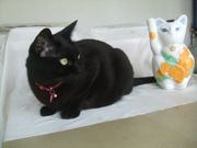 ファイル 2624-1.jpg