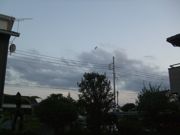 ファイル 2628-1.jpg