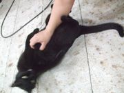 ファイル 2630-1.jpg