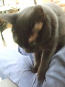 ファイル 2634-1.jpg