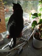 ファイル 2637-1.jpg