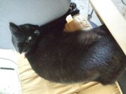 ファイル 2642-1.jpg