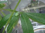 ファイル 2643-1.jpg