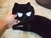 ファイル 2650-1.jpg