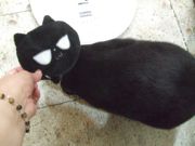 ファイル 2652-3.jpg