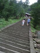 ファイル 2656-1.jpg