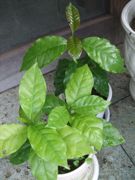 ファイル 2658-1.jpg