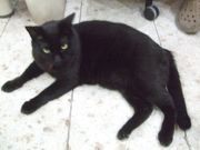 ファイル 2669-1.jpg