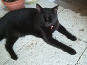 ファイル 2673-1.jpg