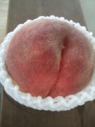 ファイル 2674-1.jpg