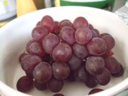 ファイル 2676-1.jpg