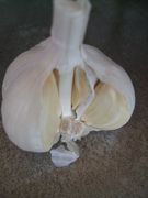 ファイル 2677-3.jpg