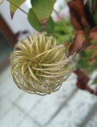 ファイル 2680-2.jpg