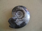 ファイル 2684-1.jpg