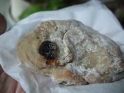 ファイル 2697-1.jpg