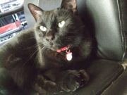 ファイル 2700-1.jpg