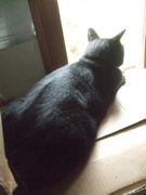 ファイル 2710-1.jpg