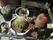 ファイル 2711-1.jpg