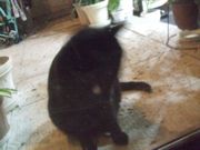 ファイル 2716-1.jpg